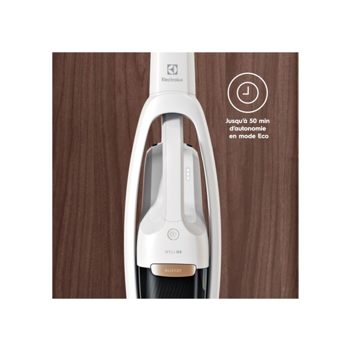 Electrolux - Balai sans fil - WQ81-PALRG