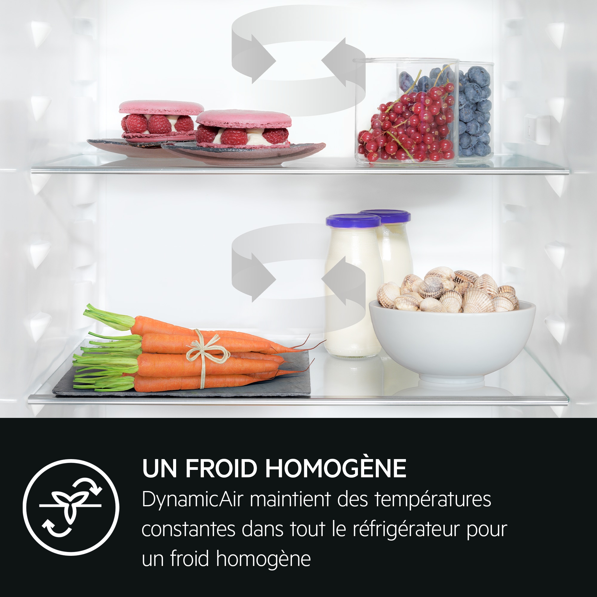 AEG - Réfrigérateur/congélateur combiné encastrable - SCK618F3FS