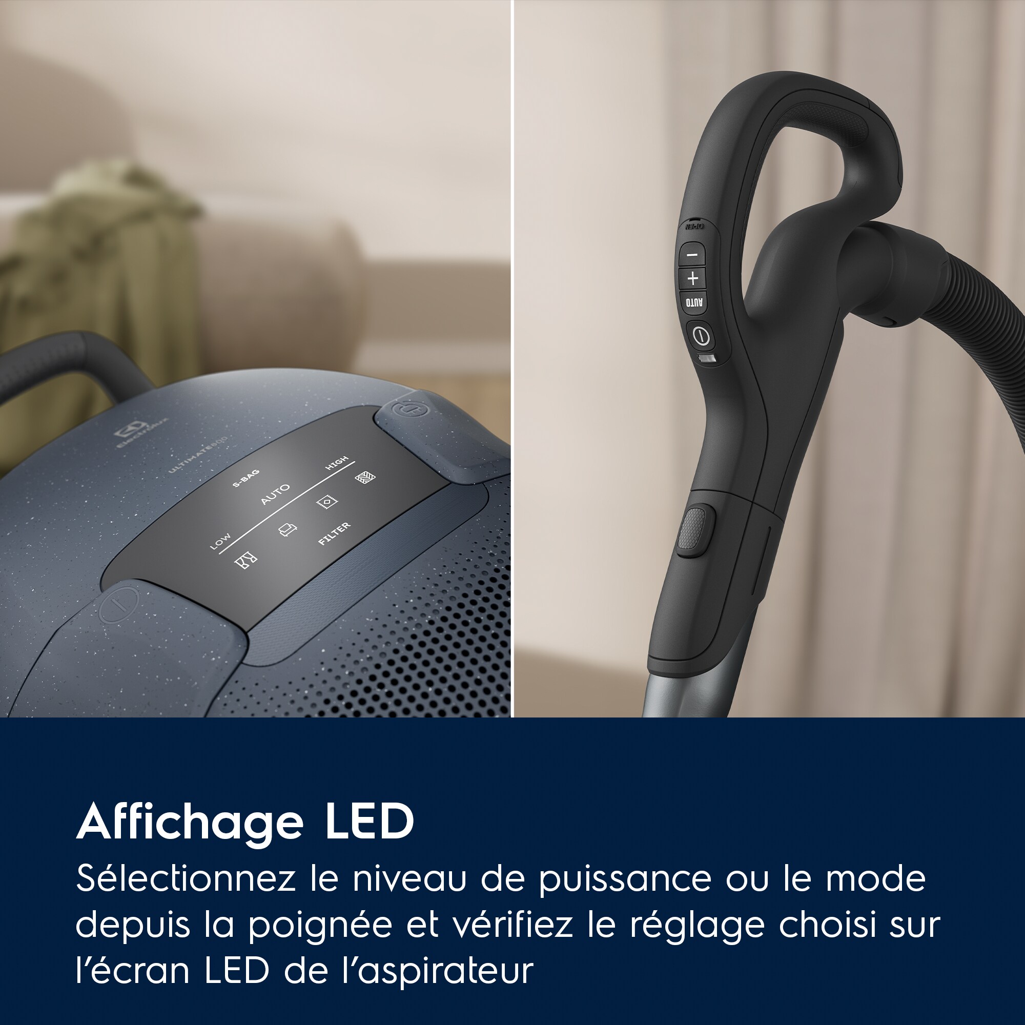 Electrolux - Aspirateur avec sac - EB81U1DB