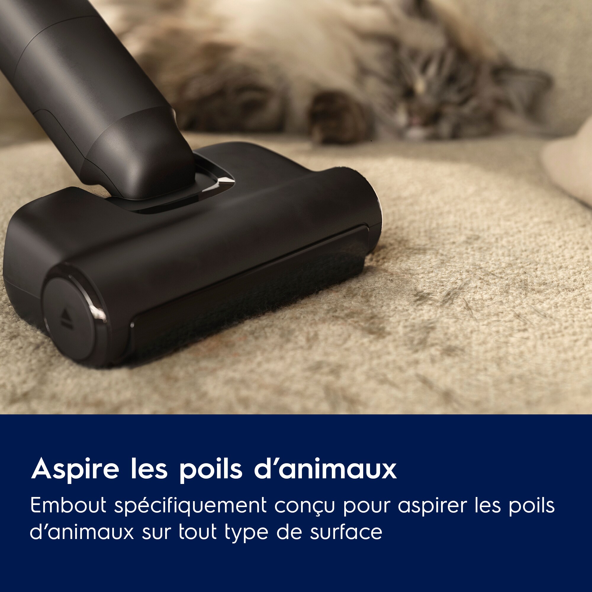 Electrolux - Balai sans fil - EP82AB25UG