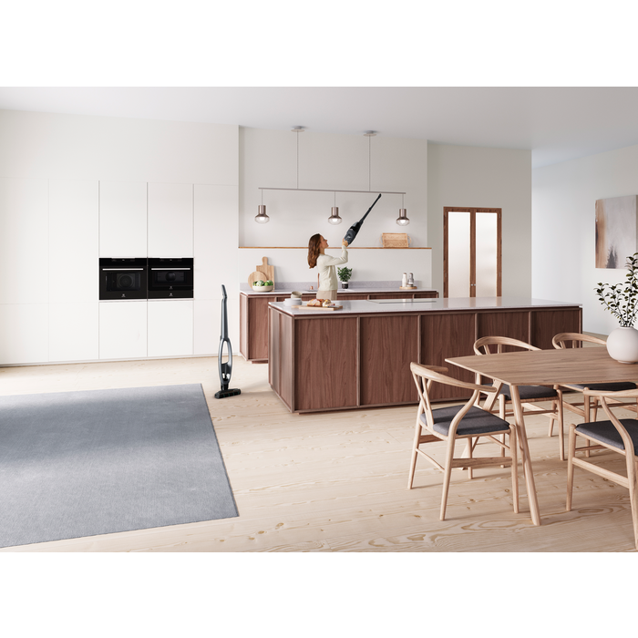 Electrolux - Balai sans fil - WQ81-PANIM