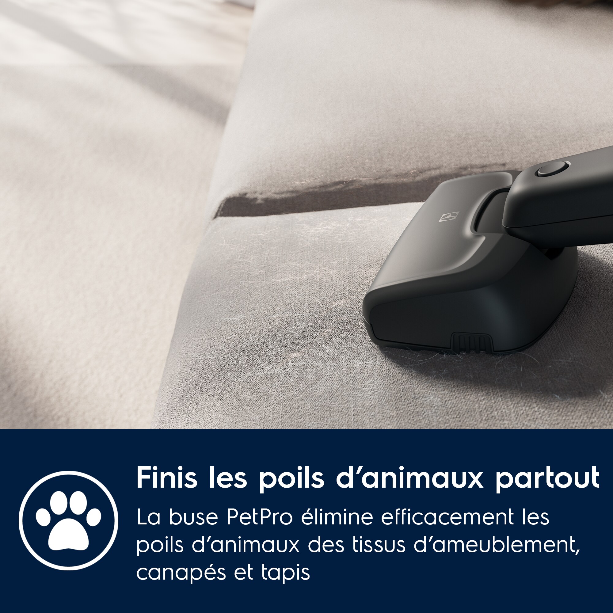 Electrolux - Balai sans fil - ES52AB21UG