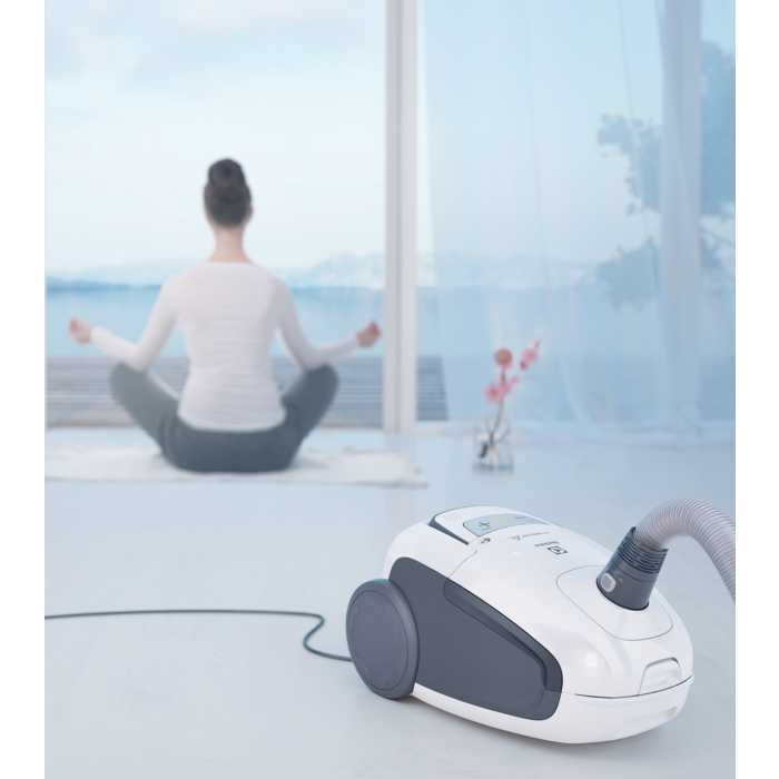 Electrolux - Aspirateur avec sac - EUSC62-IW
