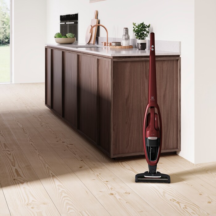 Electrolux - Balai sans fil - WQ71-ANIMA