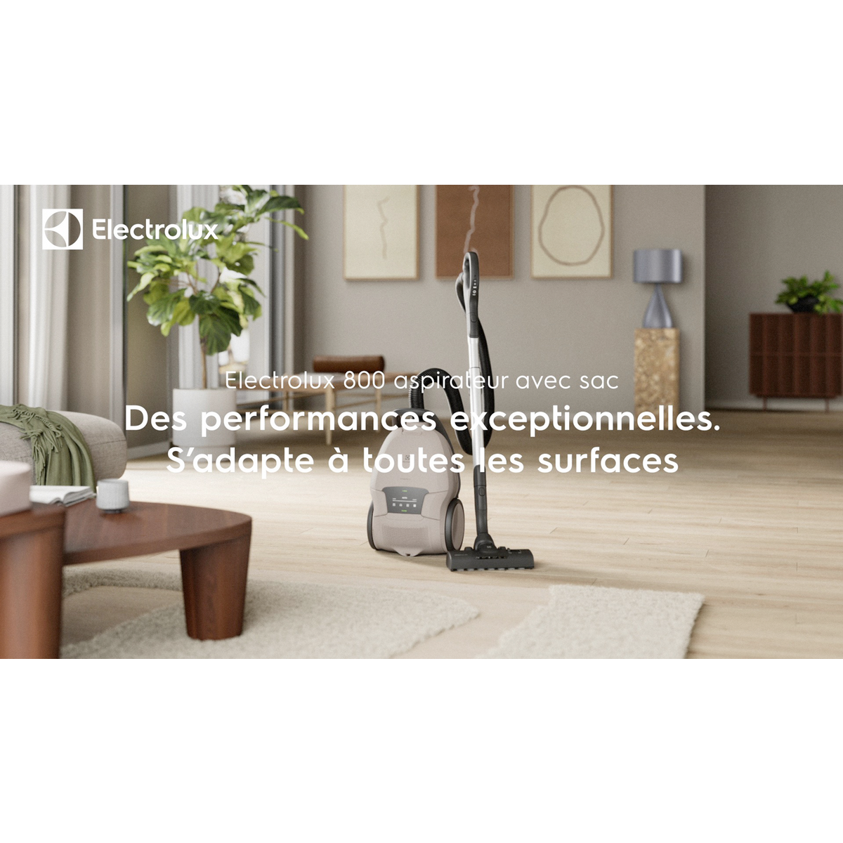 Electrolux - Aspirateur avec sac - EB81U1WB