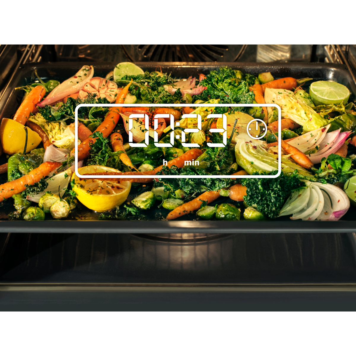 Electrolux - Four encastrable - EOC5H40X