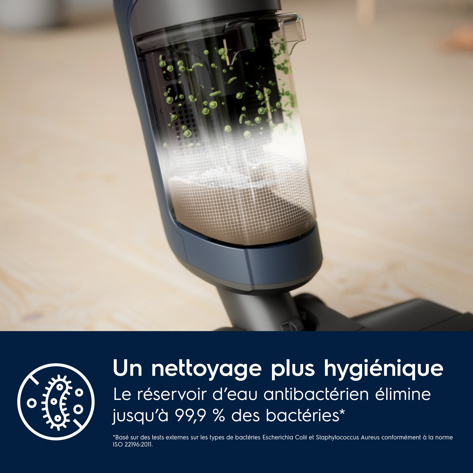 Electrolux - Aspirateur laveur sans fil - EW81U3DB