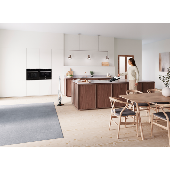 Electrolux - Balai sans fil - WQ81-ALRS