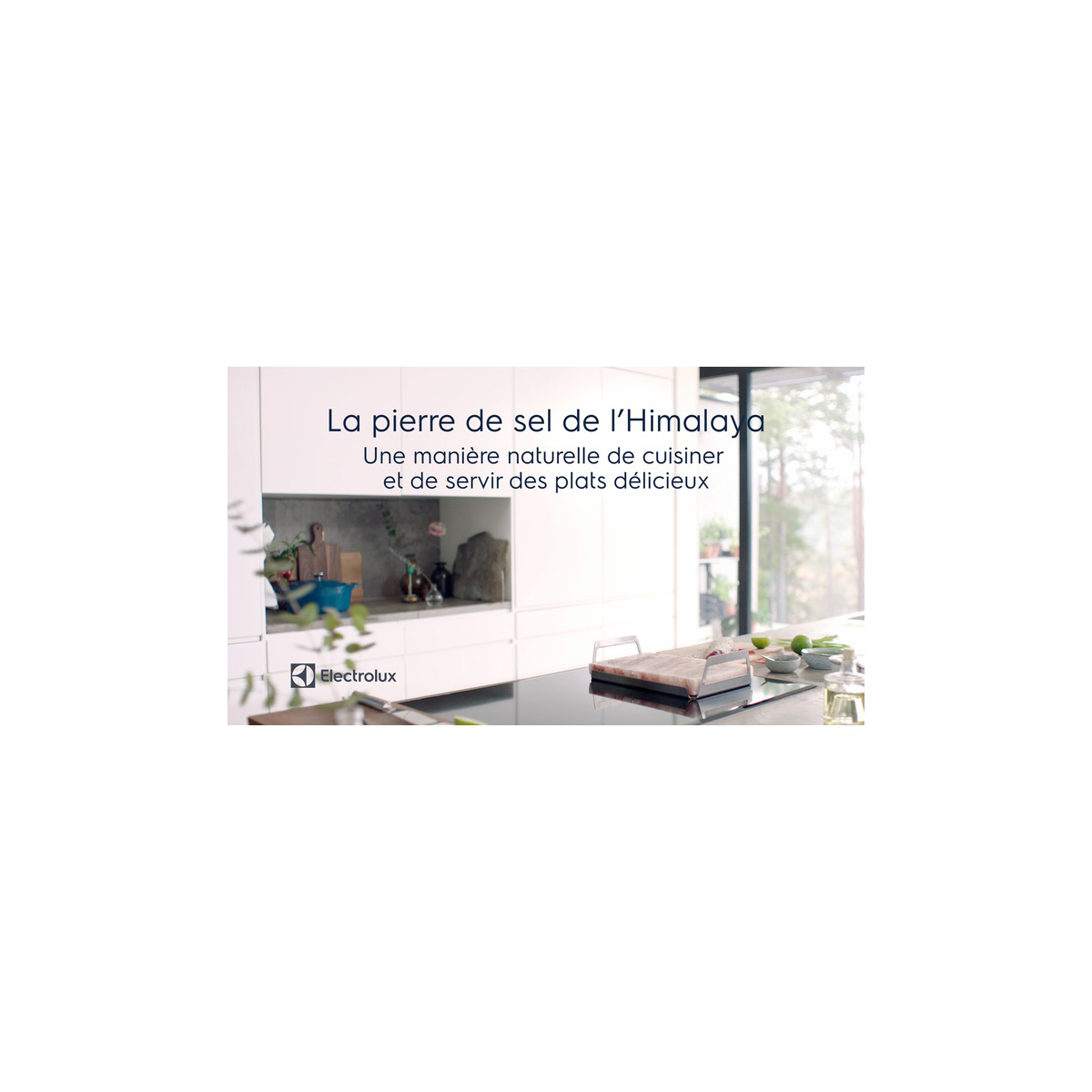 Electrolux - Salt Block - E2SLT