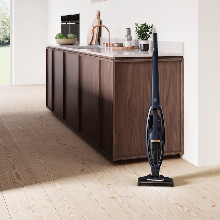 Electrolux - Balai sans fil - WQ71-50IB