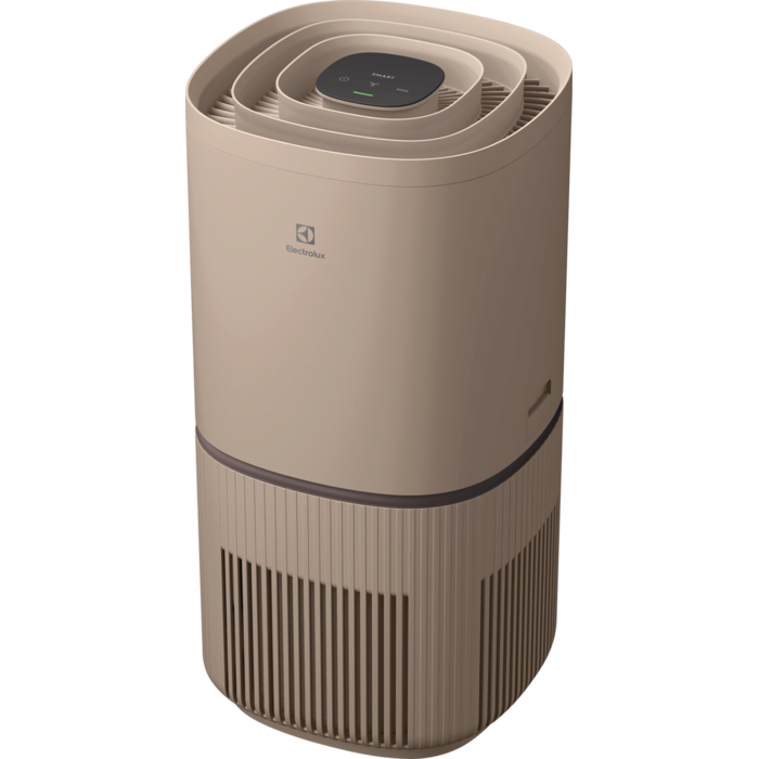 Electrolux - Purificateur d'air Oxygen - EPO50571BG