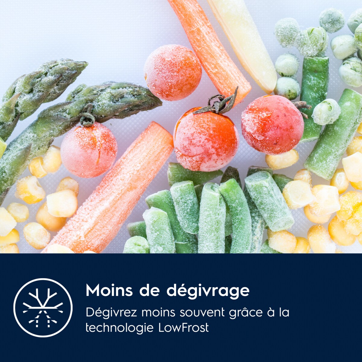 Electrolux - Congélateur encastrable - LUB3AE88S