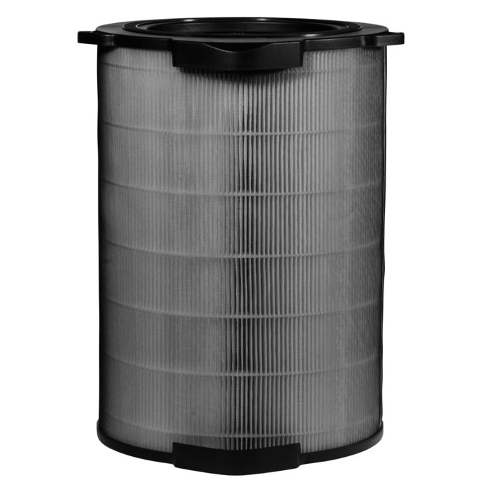 Electrolux - Filtres pour purificateurs d'air - EFDCAR6
