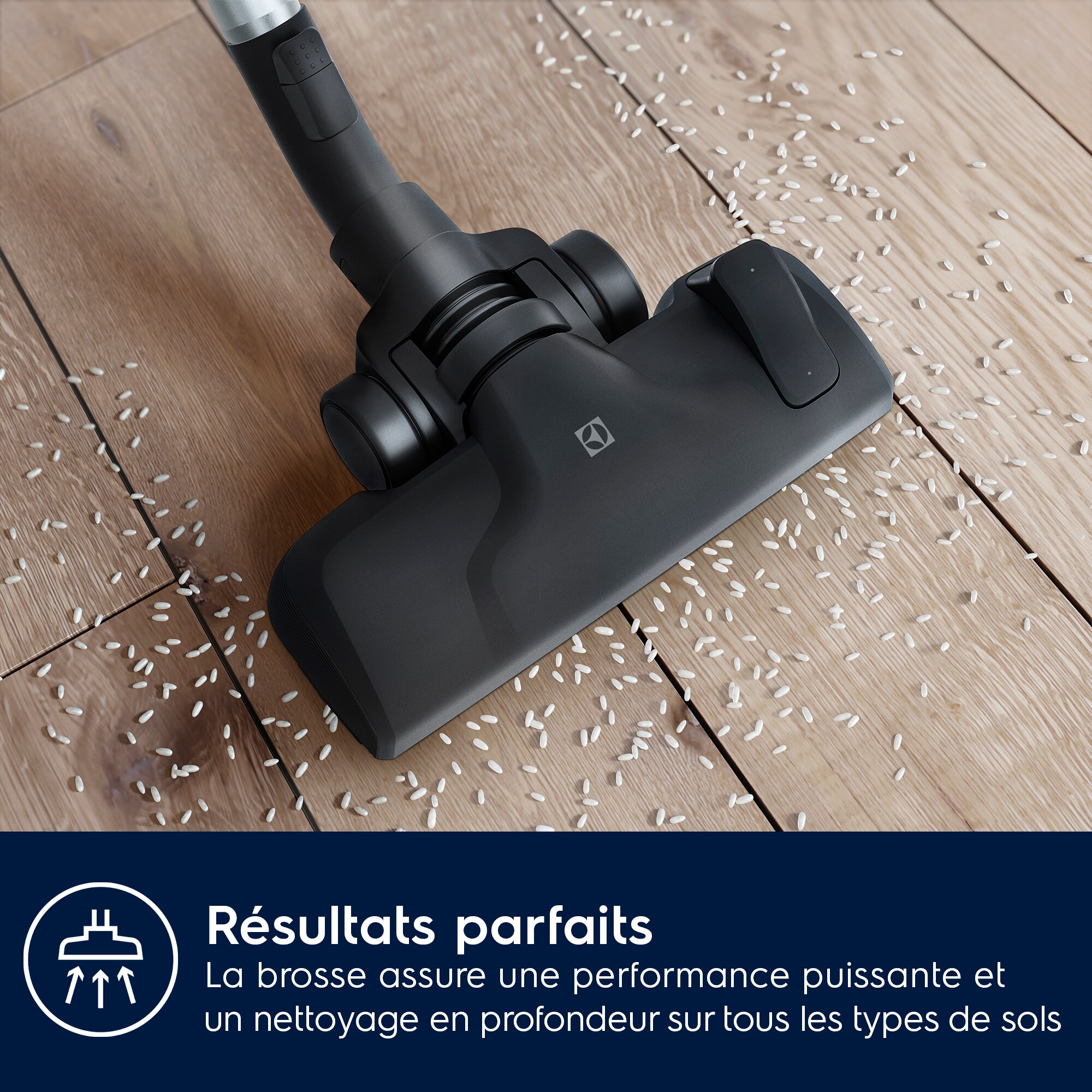 Electrolux - Aspirateur sans sac - PC91-4MG