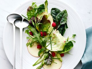 Assiette de salade fraîche sortie du réfrigérateur-congélateur Electrolux TwinTech
