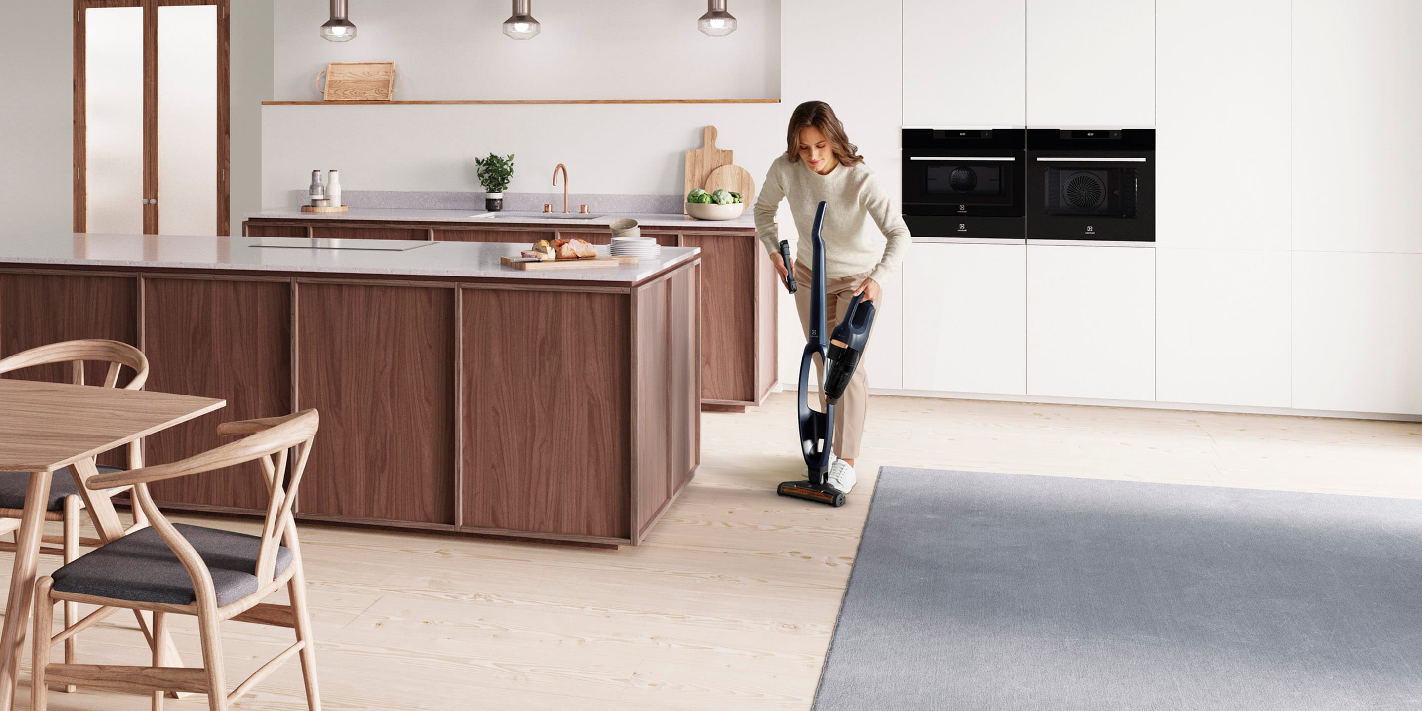 Aspirateur Balai Electrolux